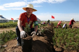 百德帶領大家伙植樹